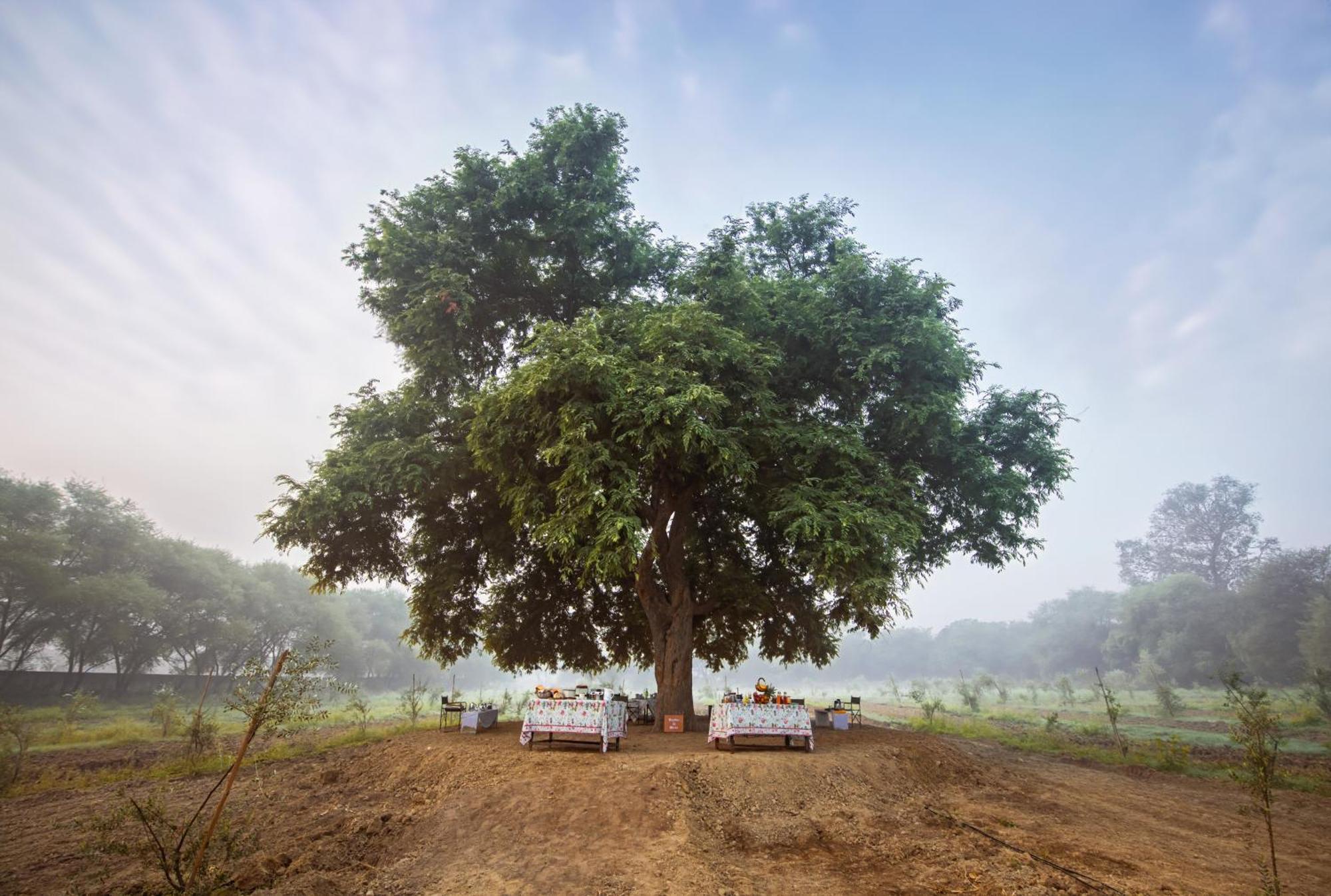 Mela Kothi - The Chambal Safari Lodge Bāh Exterior foto
